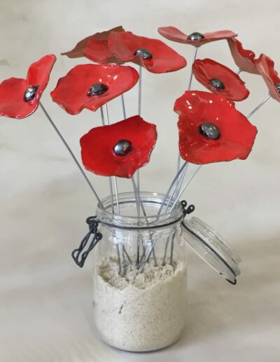 coquelicot décoratif