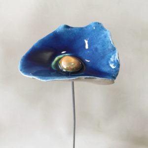 Coquelicot Bleu nuit cœur jaune doré