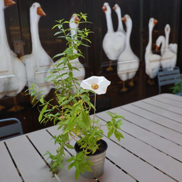 Coquelicot Blanc transparent cœur jaune doré – Image 2