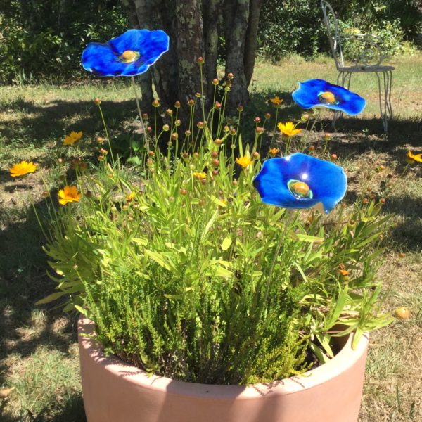 Coquelicot Bleu nuit cœur jaune doré – Image 5