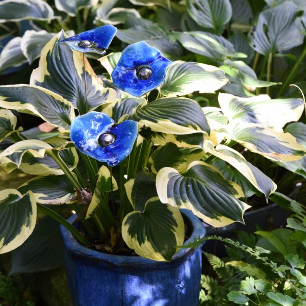 Coquelicot céramique Bleu nuit coeur metal