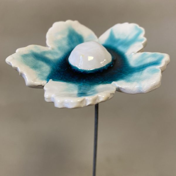 Fleur Sauvage Turquoise et Blanc cœur Blanc