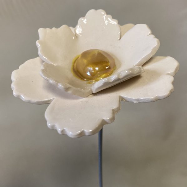 Fleur Sauvage Double Blanche cœur Doré