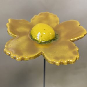 Fleur Sauvage Doré cœur Jaune