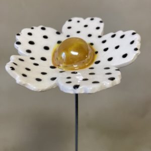 Fleur Sauvage Blanche à pois noir cœur Doré