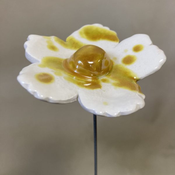 Fleur Sauvage Blanche projections Doré