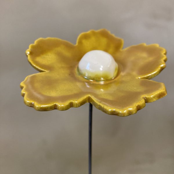Fleur Sauvage Doré cœur Blanc