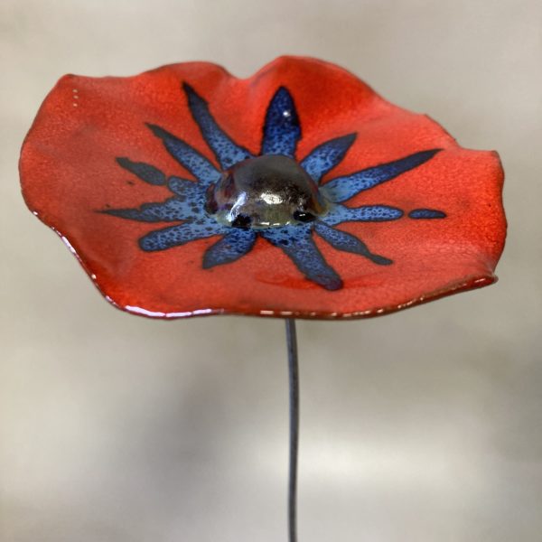 Coquelicot Rouge Bleu et Gris Métal