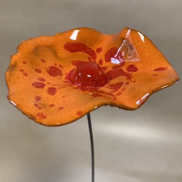 Coquelicot Orange cœur rouge et projections rouge