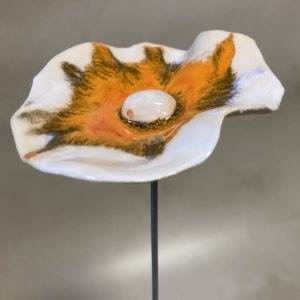 Coquelicot Orange et blanc cœur Blanc irisé