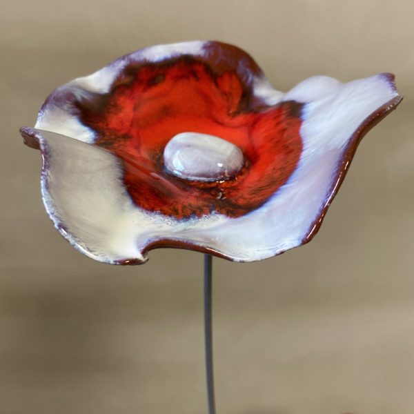 Coquelicot Rouge et Blanc irisé violet cœur blanc