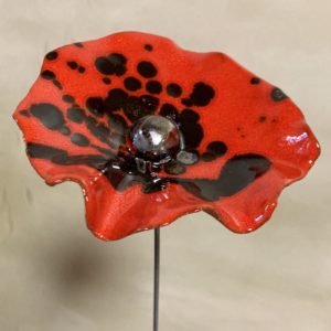 Coquelicot Rouge Projections Noir Métal