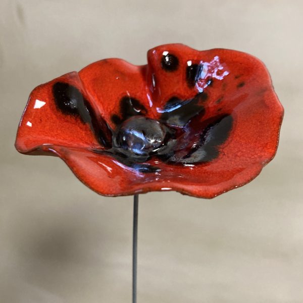 Coquelicot Rouge Projections Noir Métal – Image 4