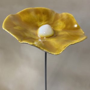 Coquelicot Doré cœur Blanc