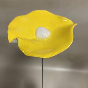 Coquelicot Jaune vif cœur Blanc