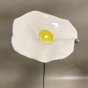 Coquelicot Blanc cœur Jaune