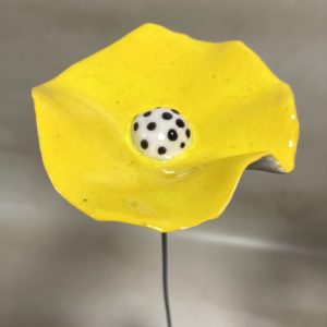 Coquelicot Jaune cœur blanc à pois noir