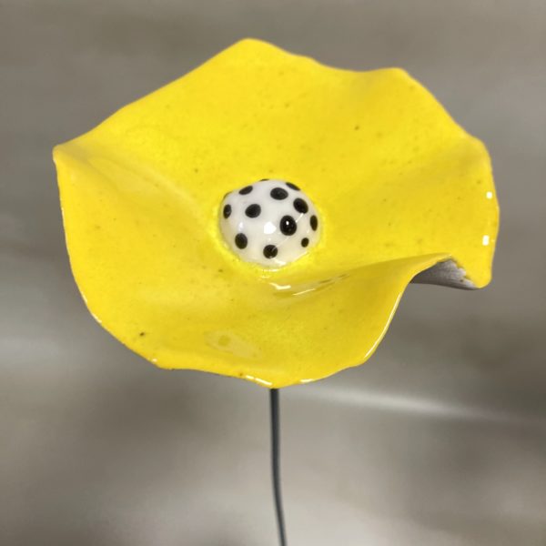 Coquelicot Jaune cœur blanc à pois noir