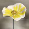 Coquelicot Blanc, motif Jaune vif et cœur doré