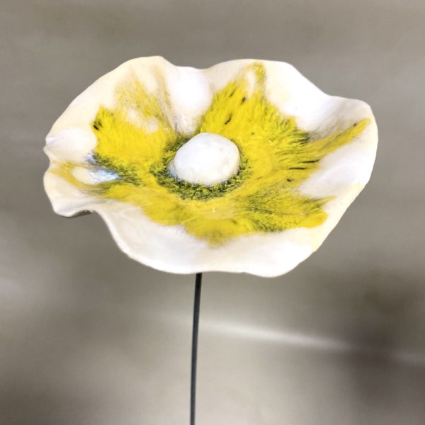 Coquelicot Jaune vif et Blanc irisé cœur Blanc