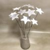 Étoile Blanc irisé – Image 4