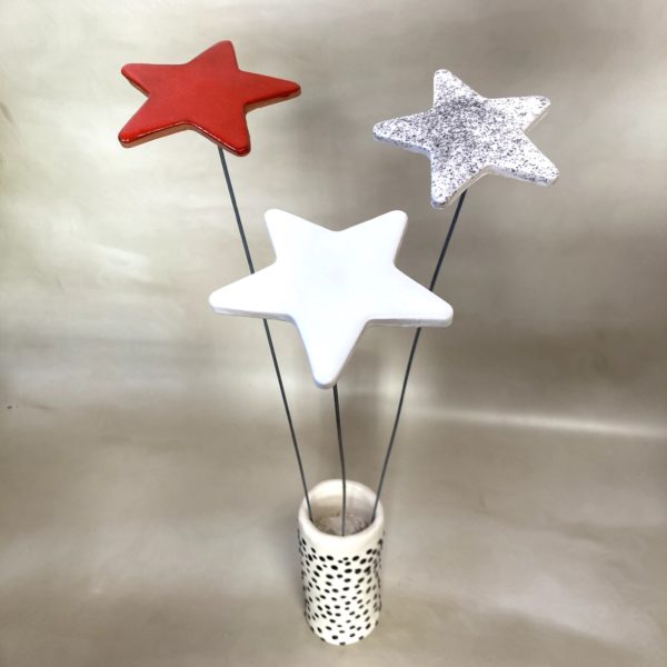 Étoile Blanc irisé – Image 3