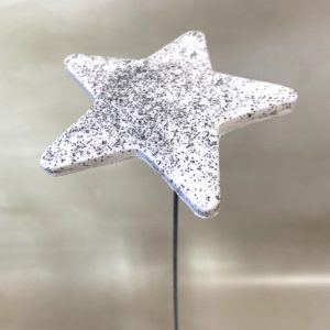 Étoile Blanc Pailleté