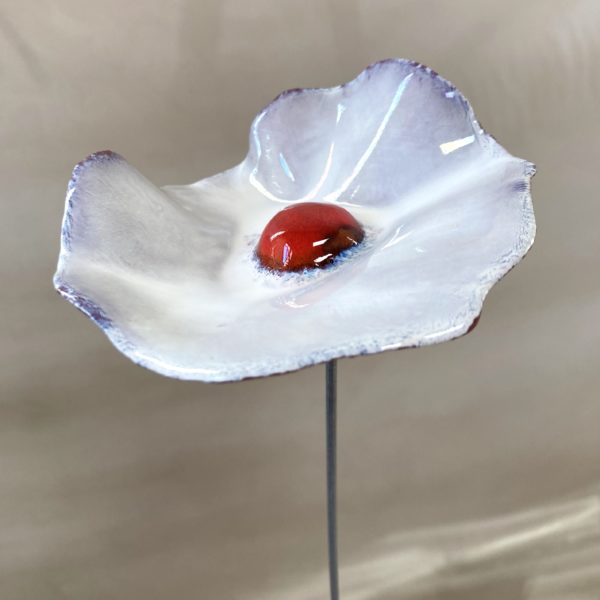 Coquelicot Blanc irisé violet cœur Rouge