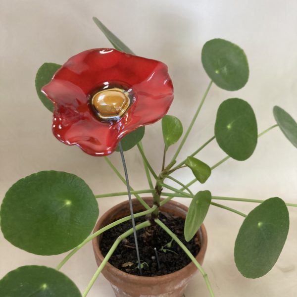 Coquelicot Rouge motif Bleu cœur Bleu Lustré – Image 3