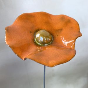 Coquelicot Orange cœur Doré