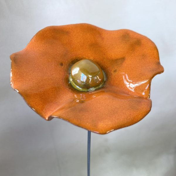 Coquelicot Orange cœur Doré