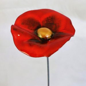 Coquelicot Rouge Nuancé cœur doré