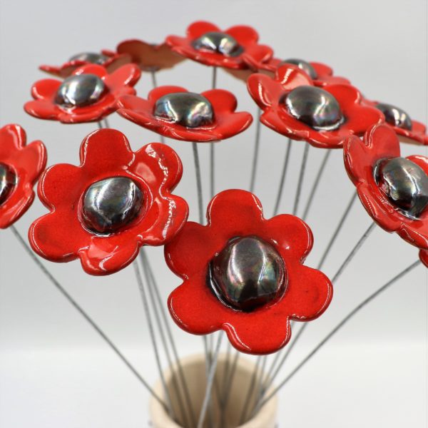 Bouquet de 15 petites Marguerites Rouge 30 cm de hauteur – Image 2