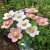Bouquet de 10 fleurs sauvages Rose Blanc et Doré Hauteur 35 cm – Image 3