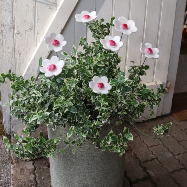 Fleur Blanche cœur Rose – Image 2