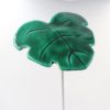 Feuille Vert Émeraude
