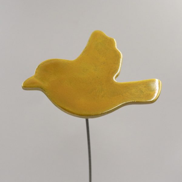 Oiseau Doré