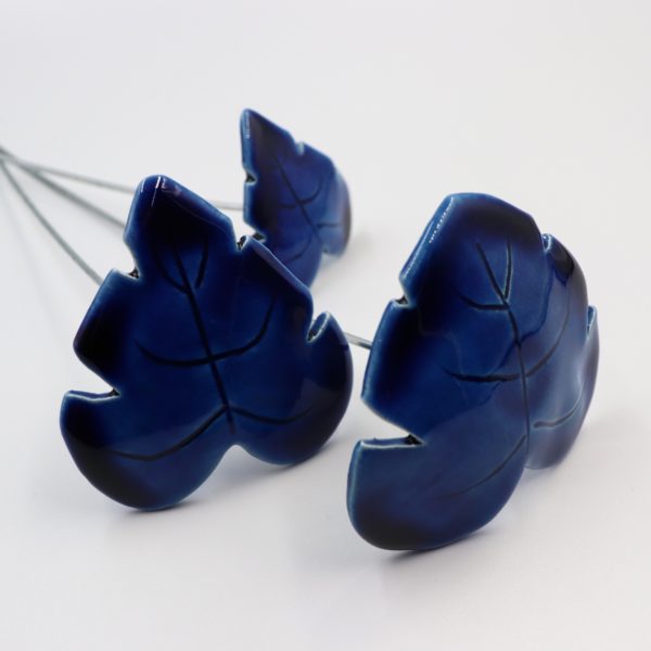 Feuille Bleu Nuit – Image 2