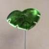 Feuille Vert Olive
