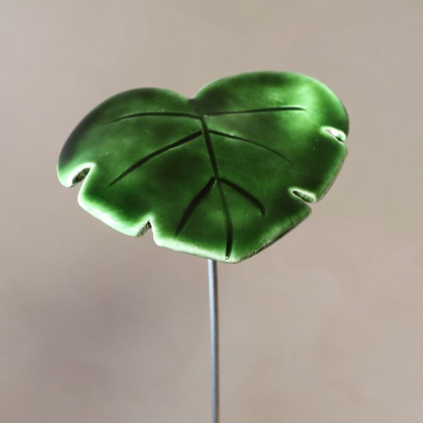 Feuille Vert Olive