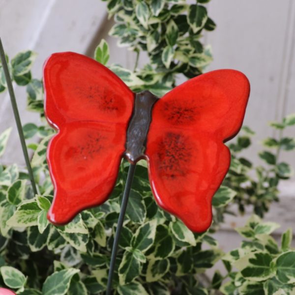 Papillon Rouge nuancé et noir – Image 3
