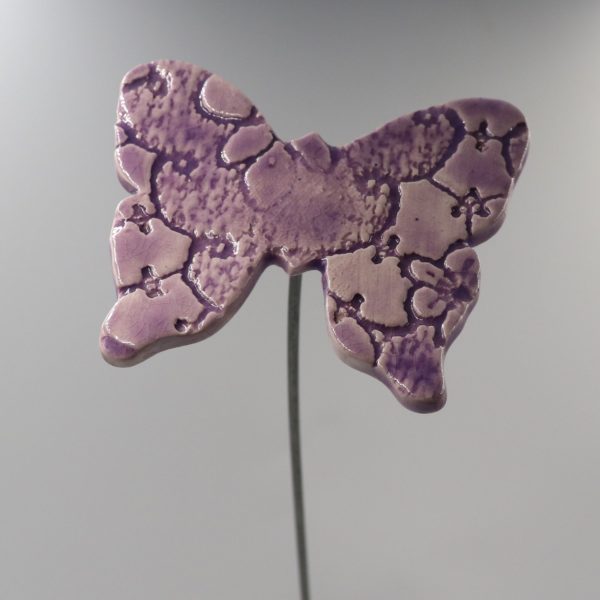 Papillon Impression Dentelle Lilas