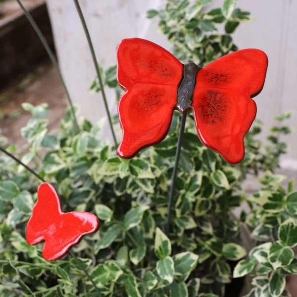 Papillon Rouge nuancé et noir – Image 2
