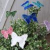Papillon Vert et Blanc Irisé – Image 2