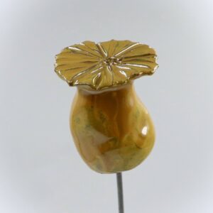 Capsule Jaune Doré