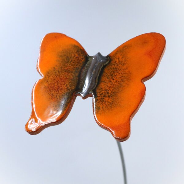 Papillon Orange nuancé et Métal