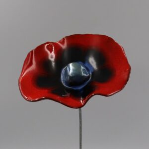 Coquelicot Rouge motif Bleu cœur Bleu Lustré