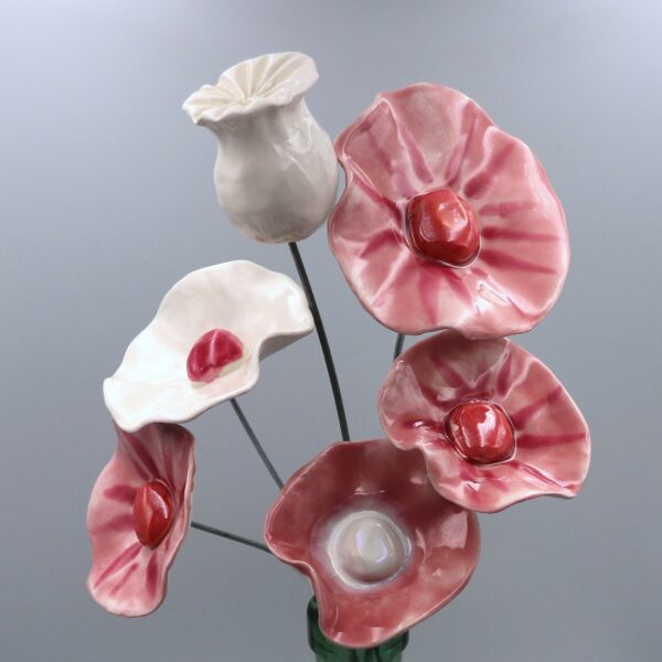 Capsule Blanche – Image 4