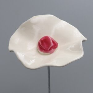 Coquelicot Blanc cœur Rose