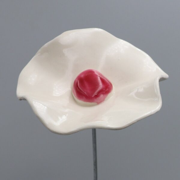 Coquelicot Blanc cœur Rose